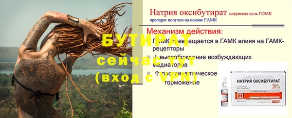сатива Россошь