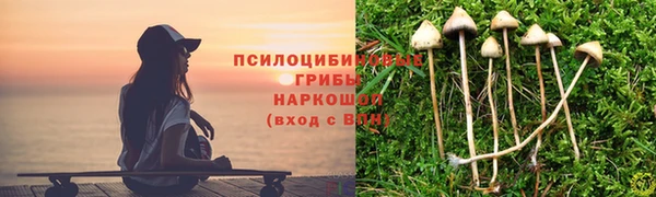 не бодяженный Алексин